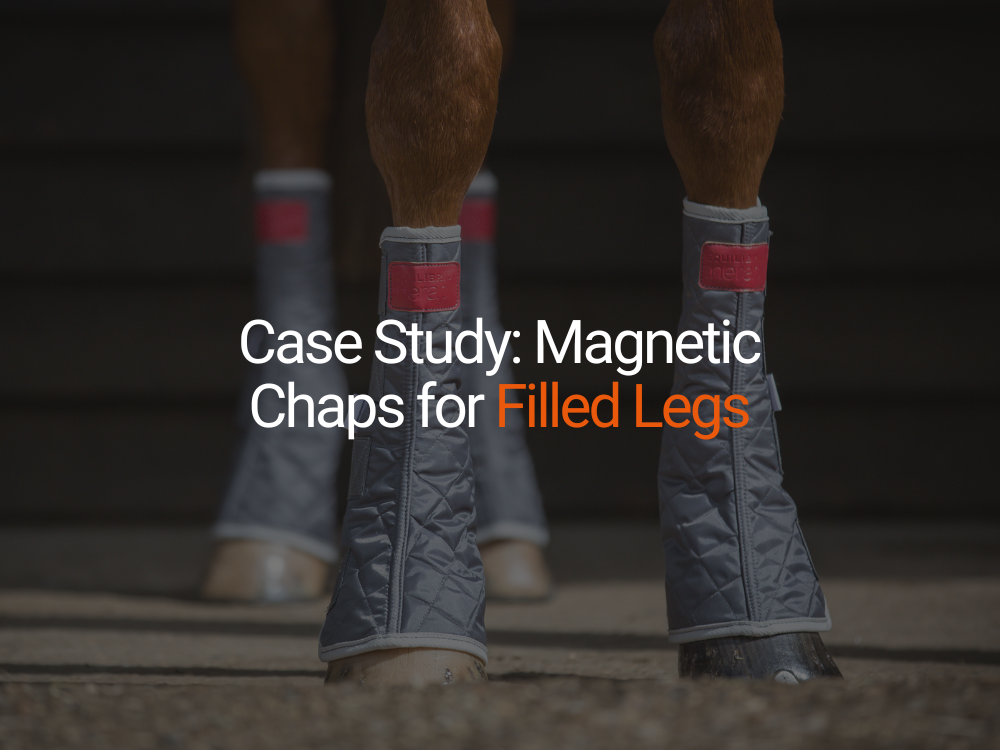 馬術 乗馬Equilibrium Therapy® Magnetic Chaps（Equilibrium Massage 