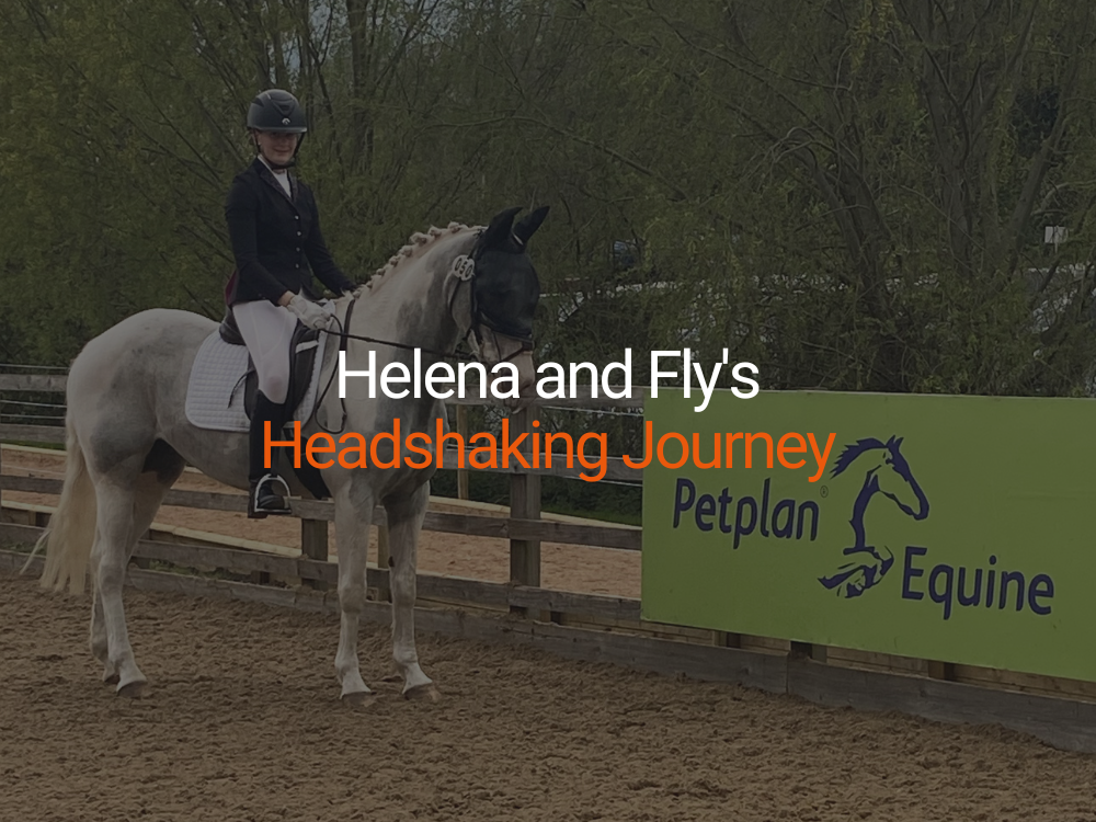 Helena and Fly's Headshaking Journey