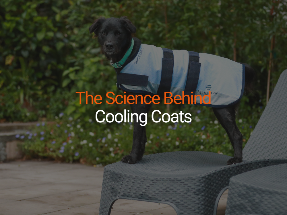The Science Behind Cooling Coats: Do They Really Work?