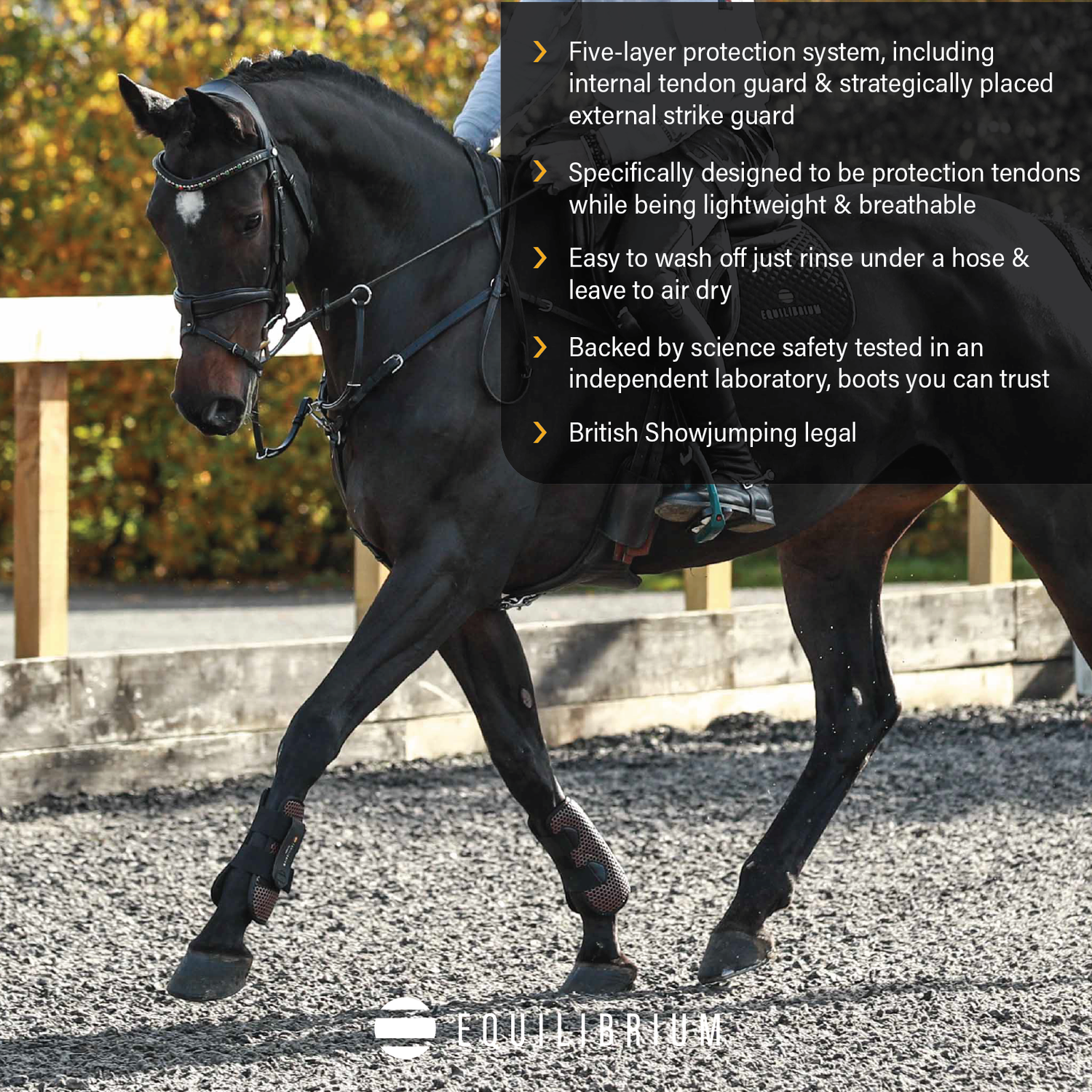 Tri-Zone Tendon Boots