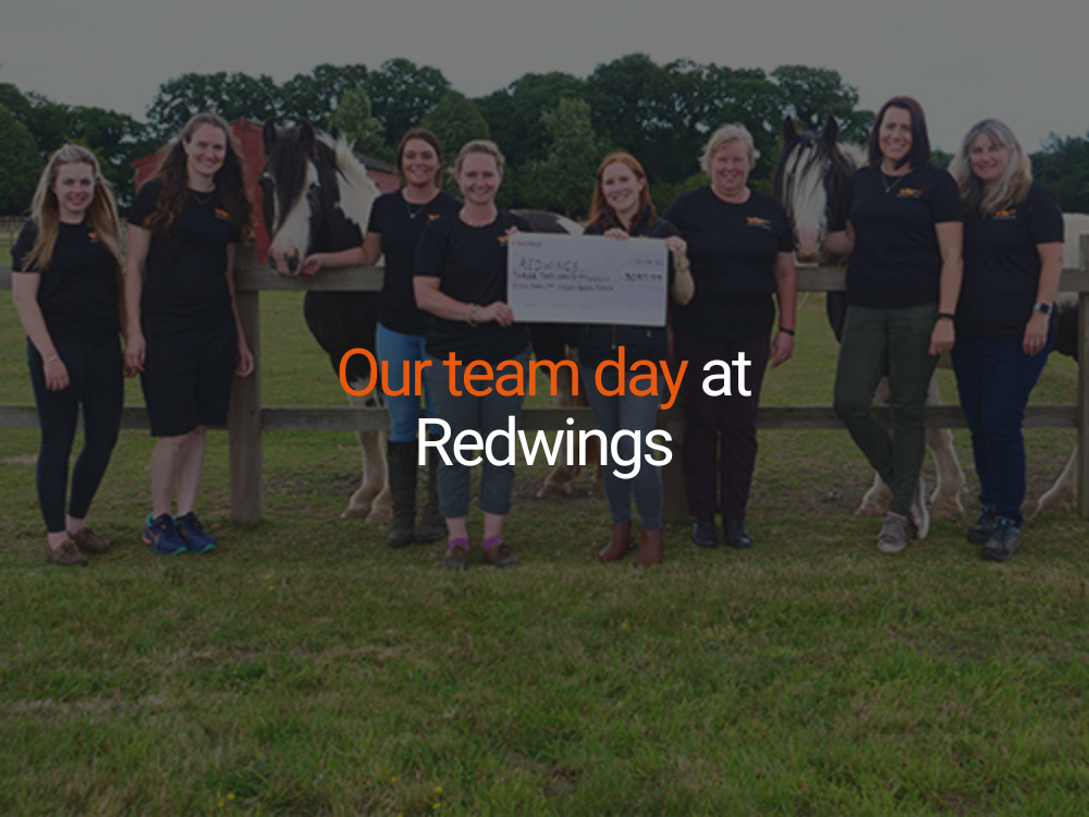 Our Team Day at Redwings 2021