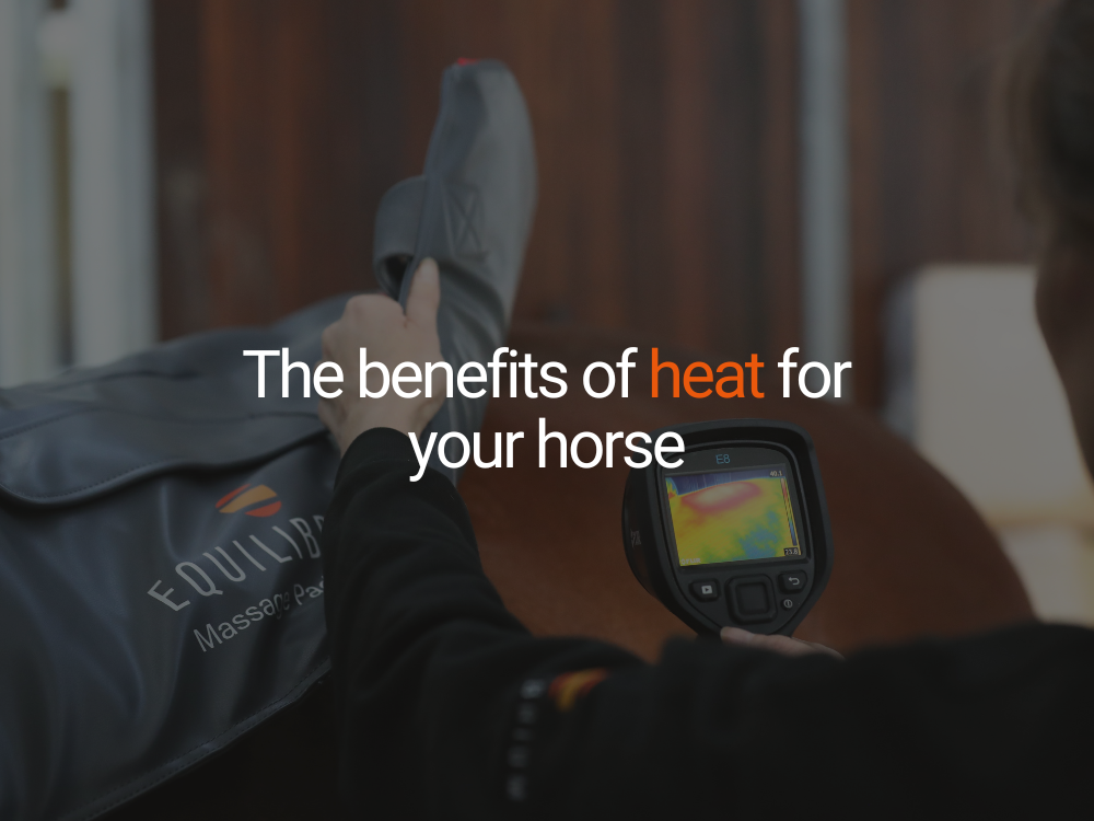 The Benefits of Heat for Your Horse