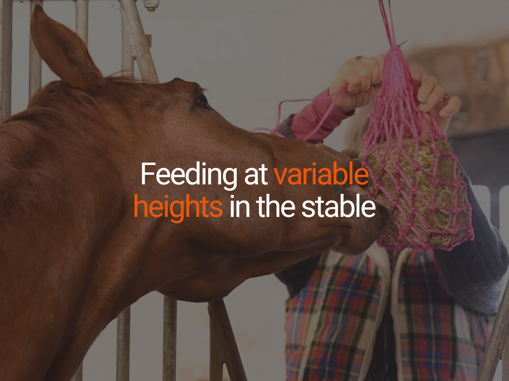 Feeding at Variable Heights in the Stable