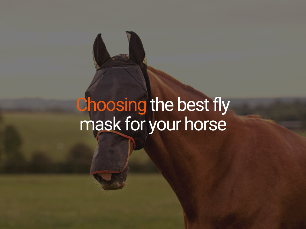 Horse Fly Masks – Choose the best fly mask for your horse