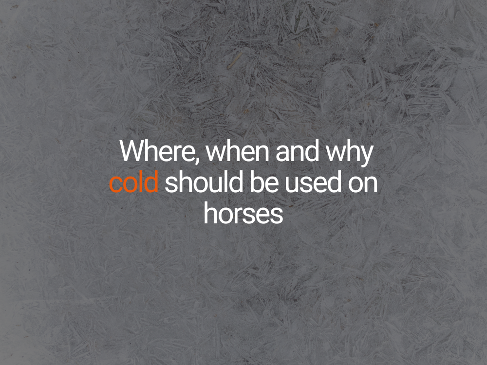 Where, When and Why Cold Should be Used on Horses!