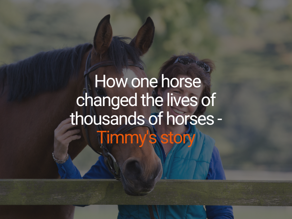 How One Horse Changed the Lives of Thousands of Horses - Timmy's Story