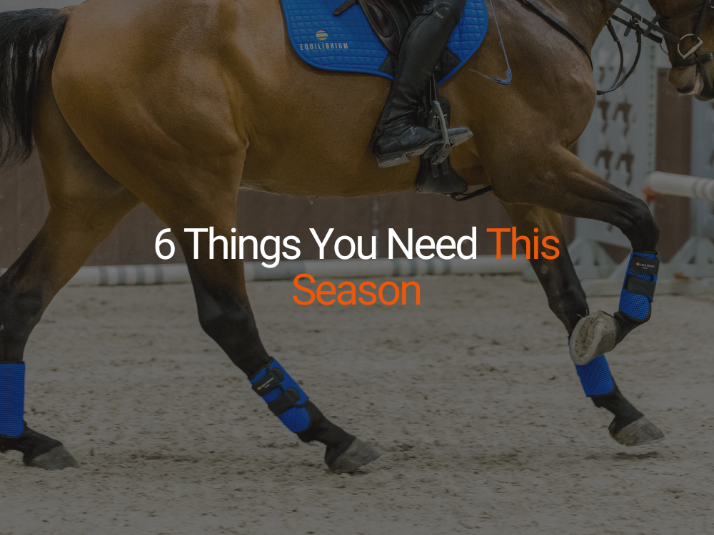 5 Things You Need This Season