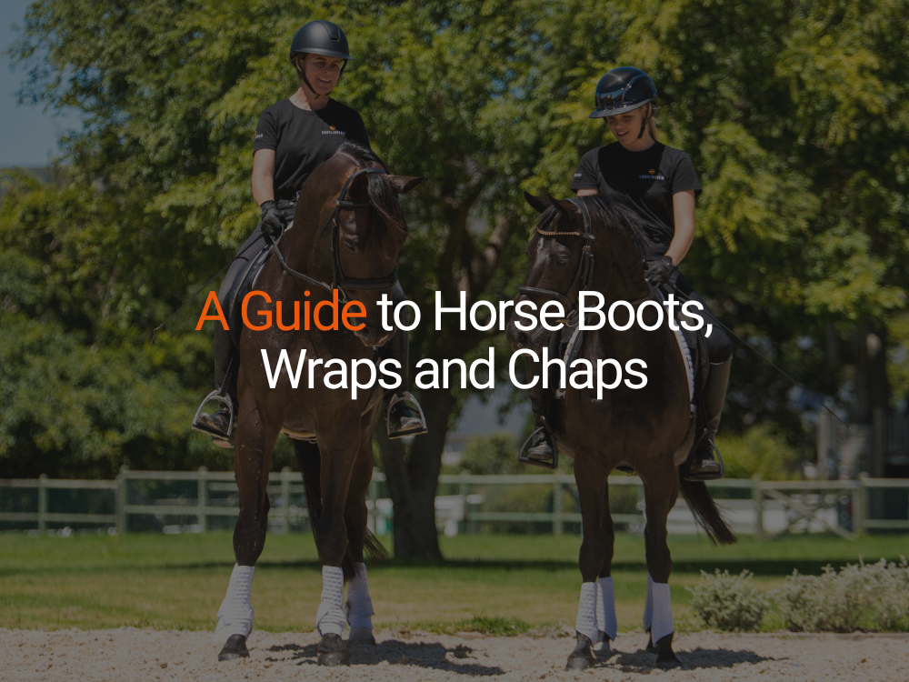 A Guide to Horse Boots, Wraps and Chaps