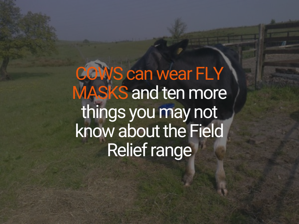 COWS can wear FLY MASKS and ten more things you may not know about the Field Relief range.