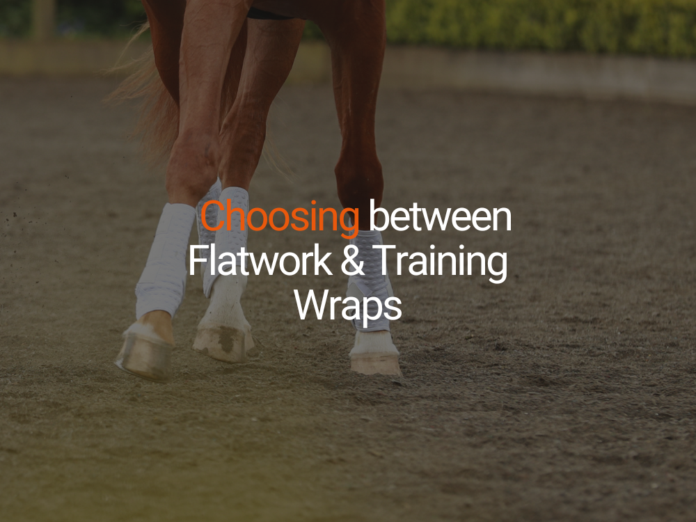 Stretch & Flex - choosing between Flatwork & Training Wraps