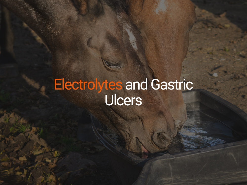 Electrolytes and Gastric Ulcers