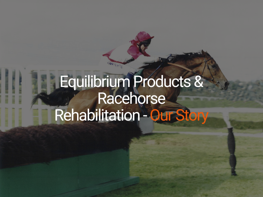 Equilibrium Products & Racehorse Rehabilitation - Our Story
