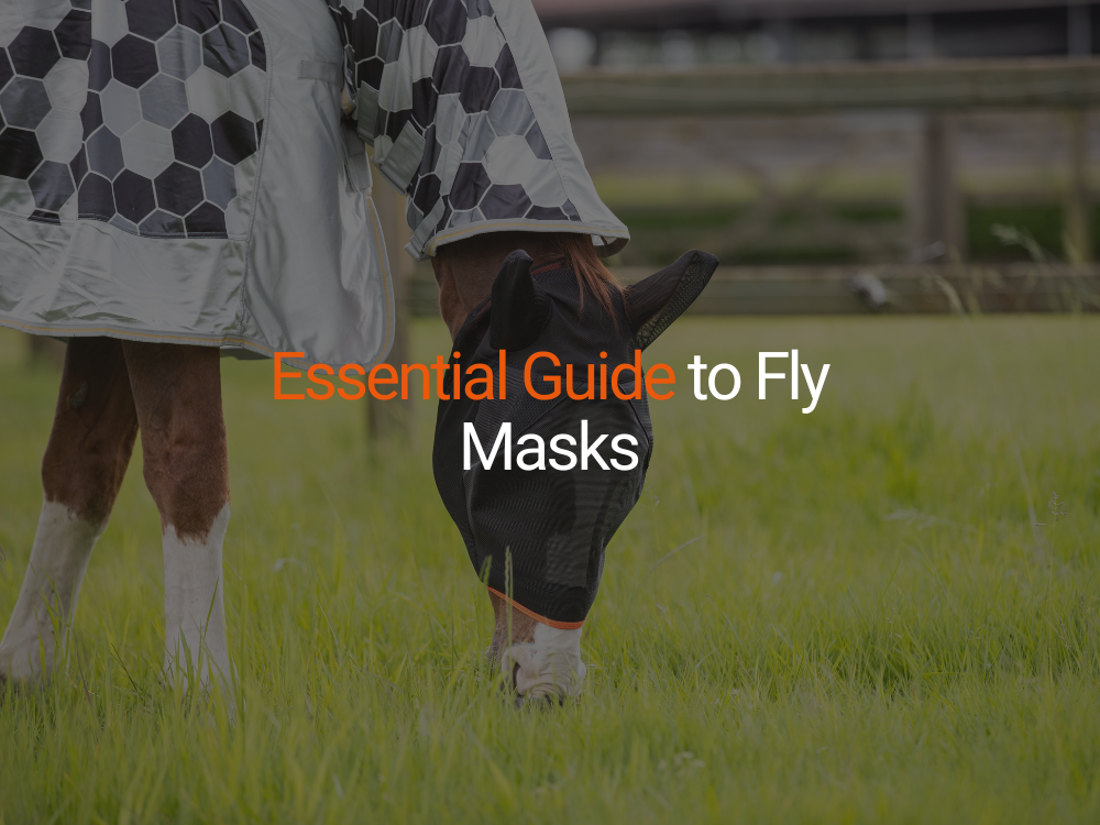 The Essential Guide to Choosing the Perfect Fly Mask for Your Horse