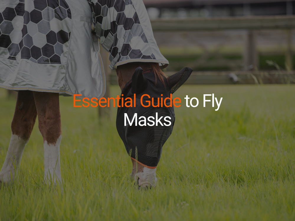 The Essential Guide to Choosing the Right Fly Mask for Your Horse