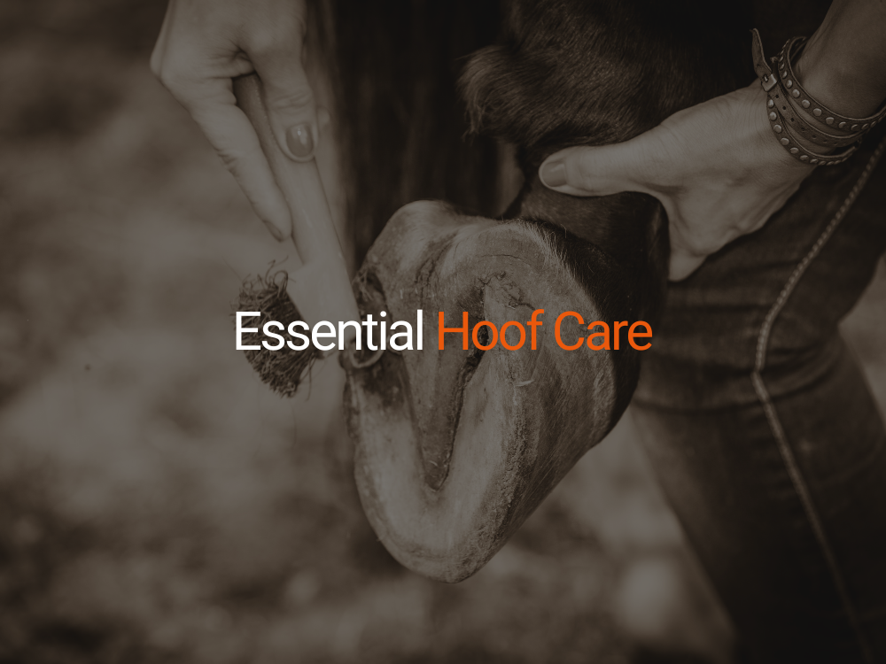 Essential Hoof Care