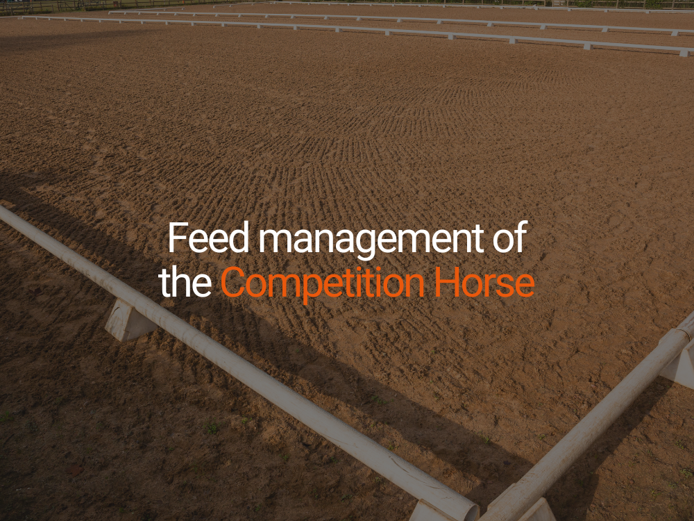 Feed management of the Competition Horse