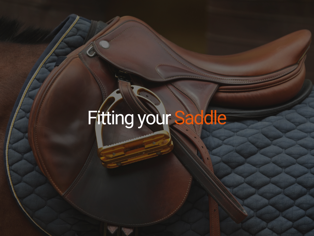 Fitting your Saddle