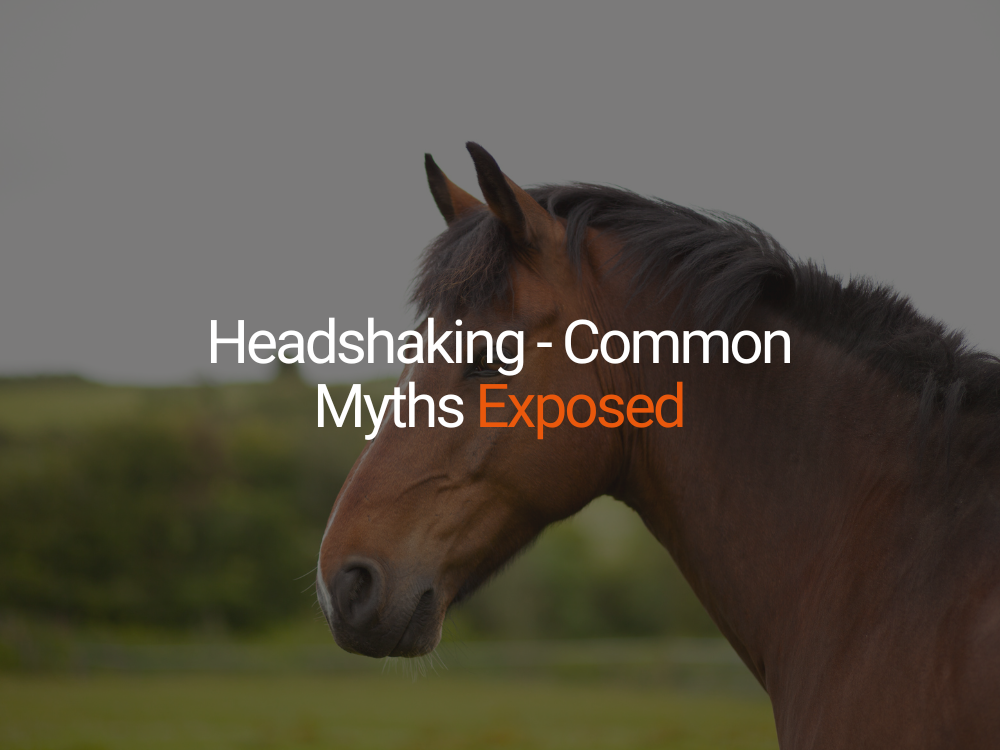 Headshaking - Common Myths Exposed