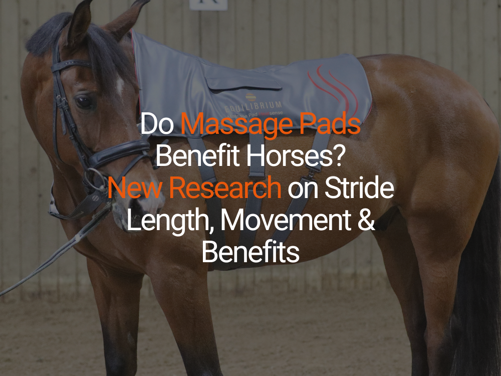 Do Massage Pads Benefit Horses? New Research on Stride Length, Movement & Benefits