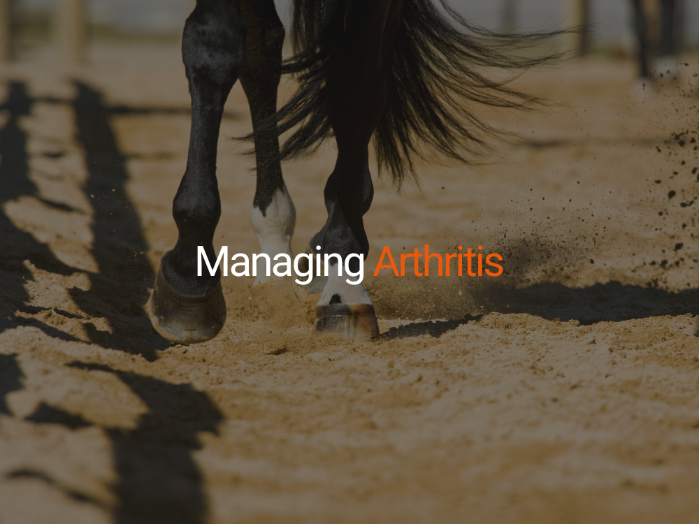 Managing Arthritis