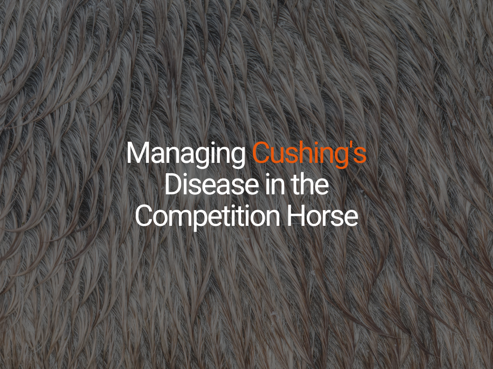 Managing Cushing's Disease in the Competition Horse