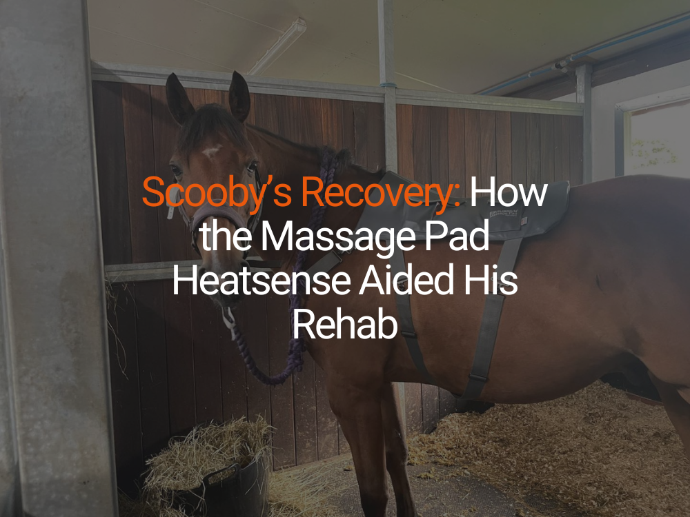 Scooby’s Recovery: How the Massage Pad Heatsense Aided His Rehab
