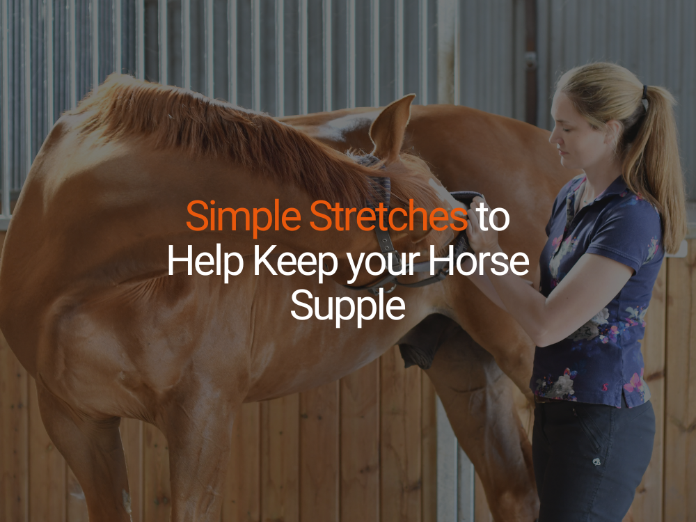 Simple stretches to help keep your horse supple