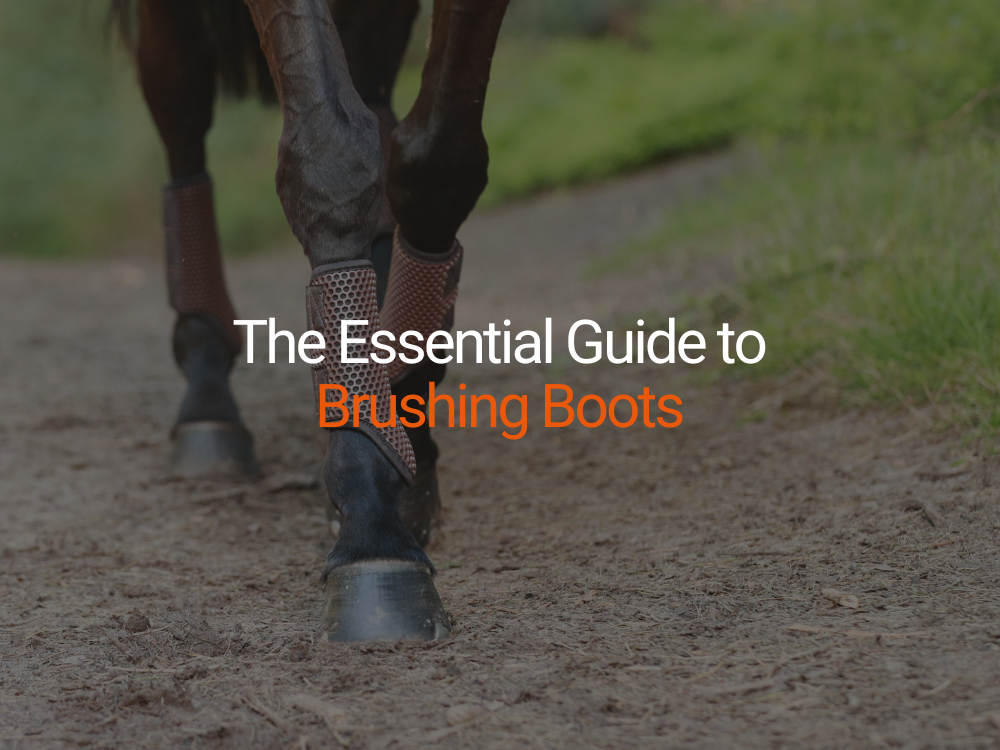 Brushing Up on the Basics – The Essential Guide to Brushing Boots