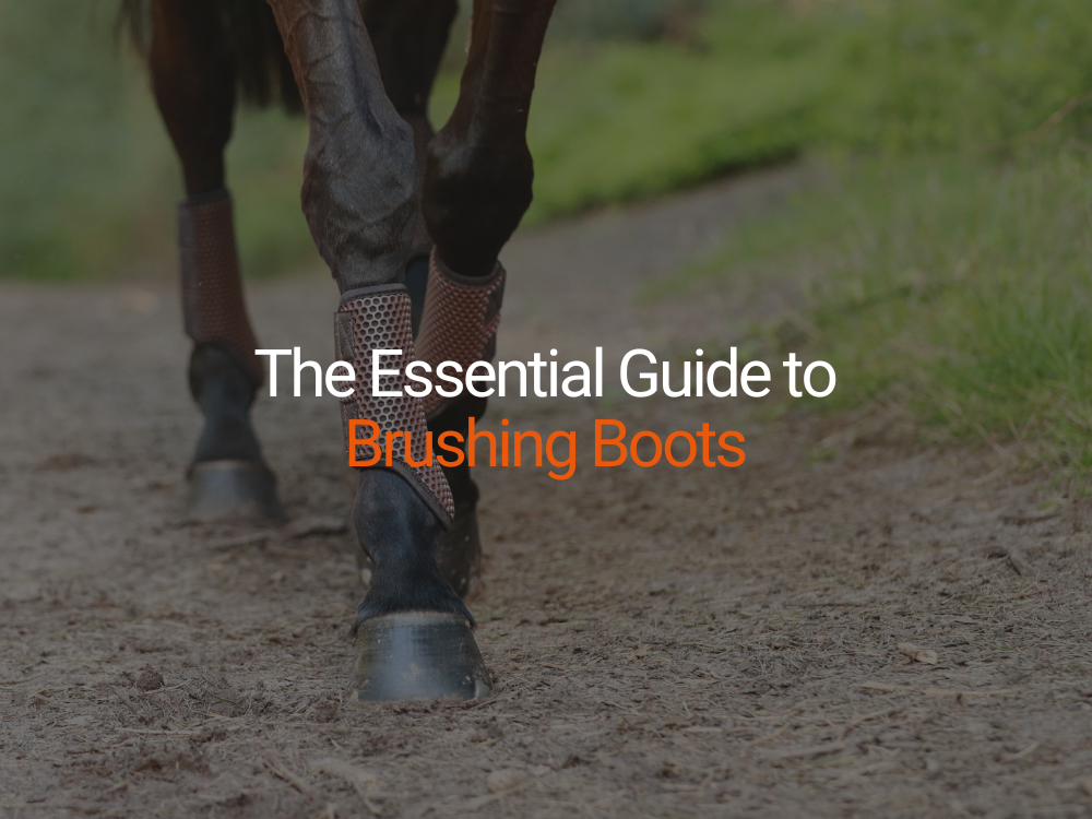 Brushing Up on the Basics: How to Choose Brushing Boots for Your Horse
