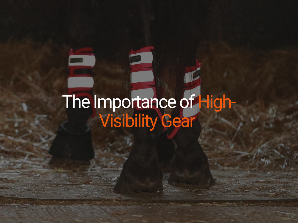The Importance of High-Visibility Gear for Horse Riders