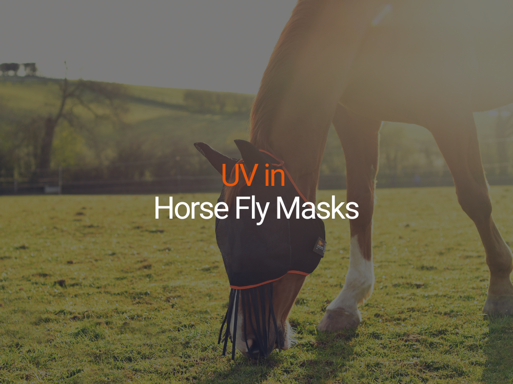 UV in Horse Fly Masks: What You Need to Know