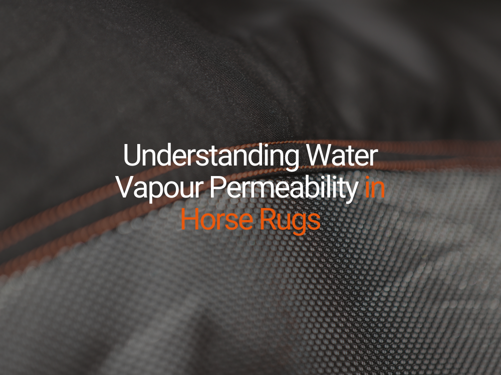 Understanding Water Vapour Permeability in Horse Rugs
