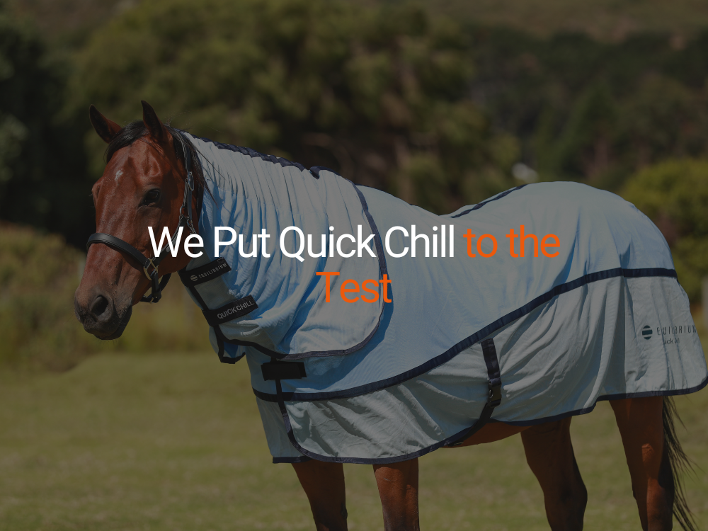 We Put Quick Chill to the Test