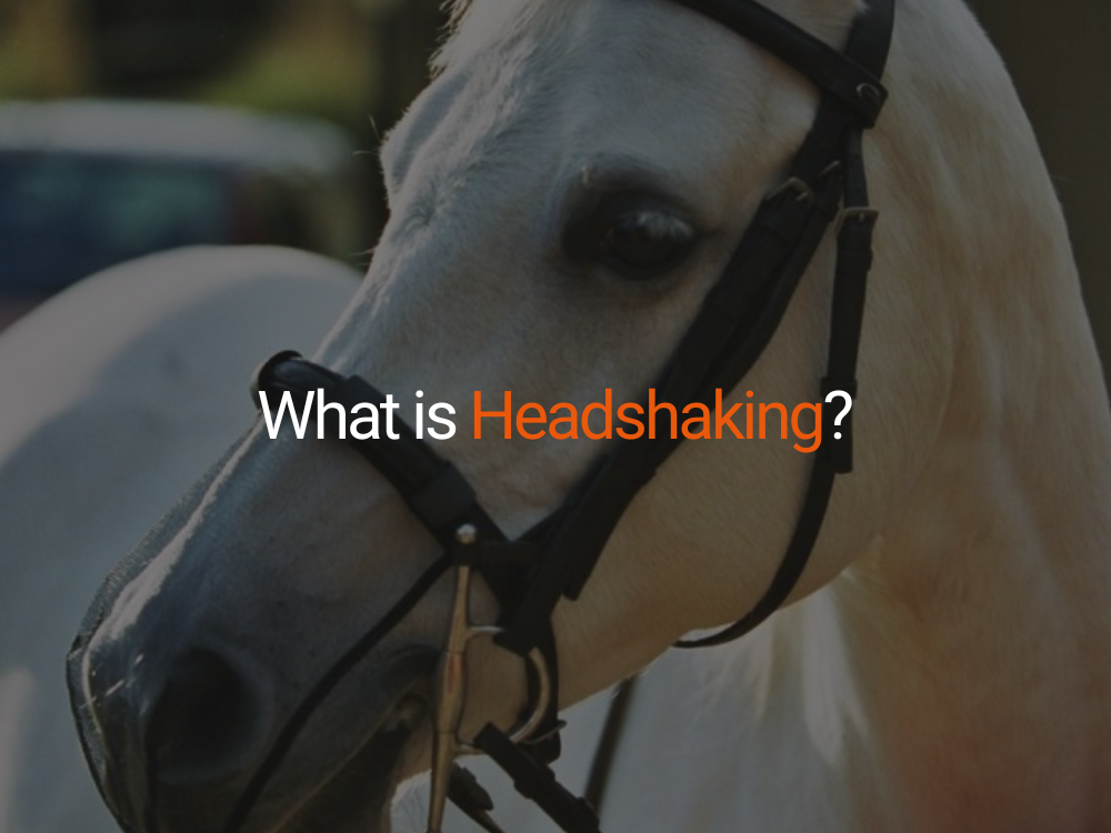 What is Headshaking?