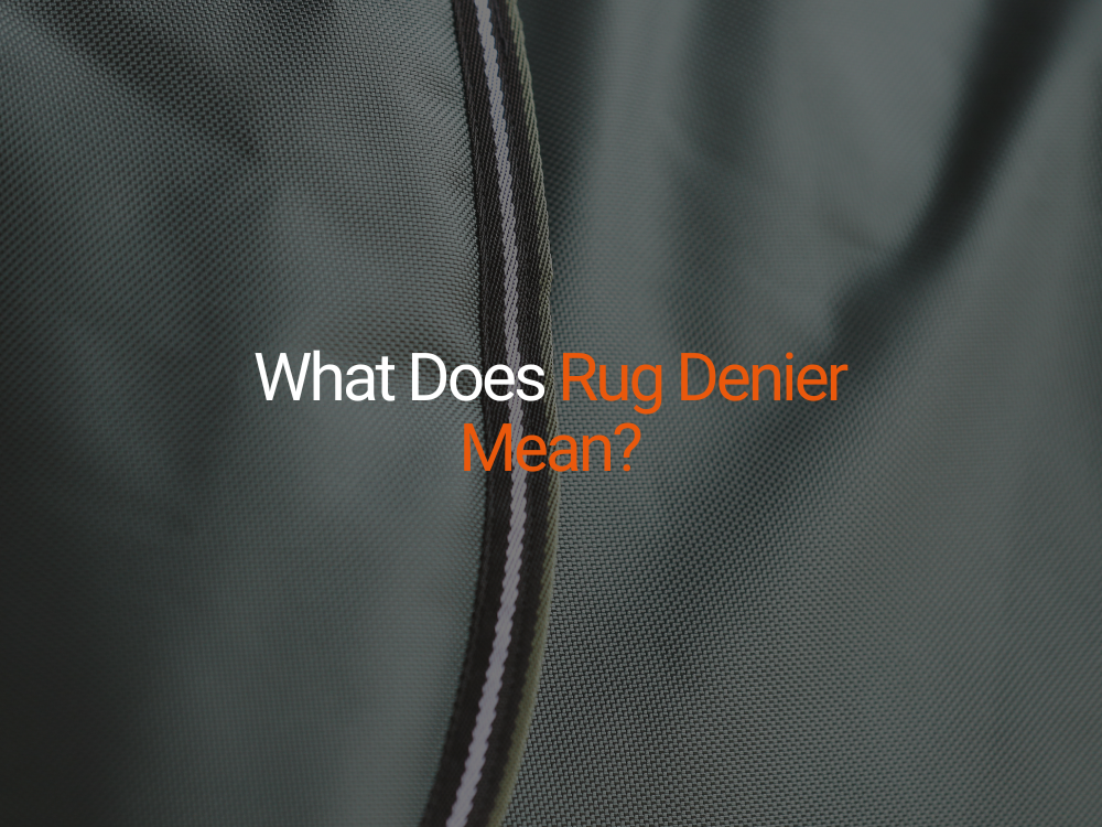 What Does Rug Denier Mean? Understanding Turnout Rug Toughness