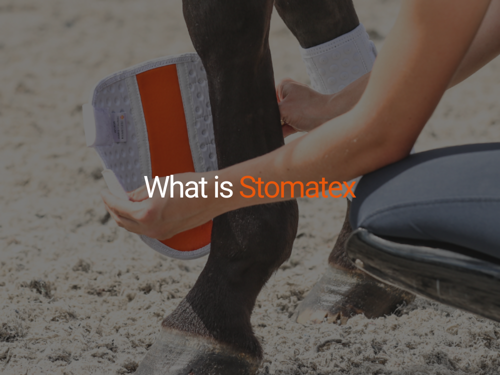 What is Stomatex?