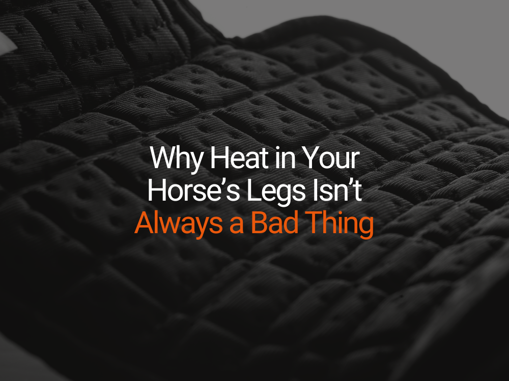 Why Heat in Your Horse’s Legs Isn’t Always a Bad Thing