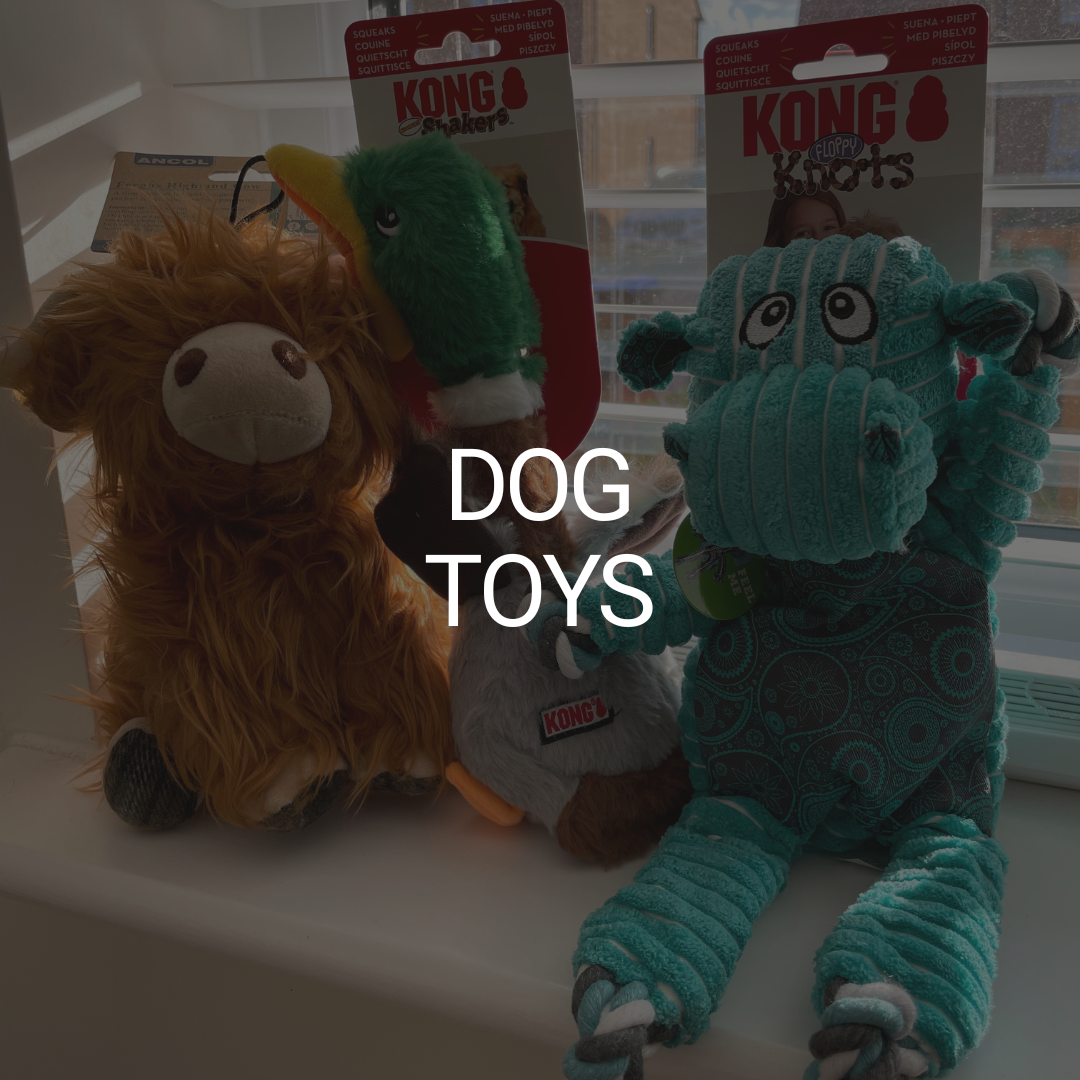 Dog toys