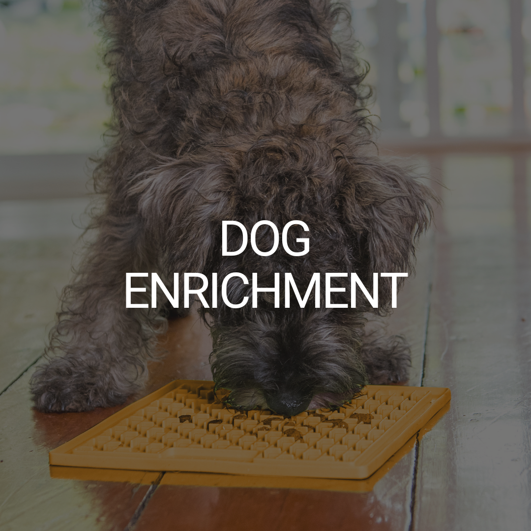 Dog Enrichment