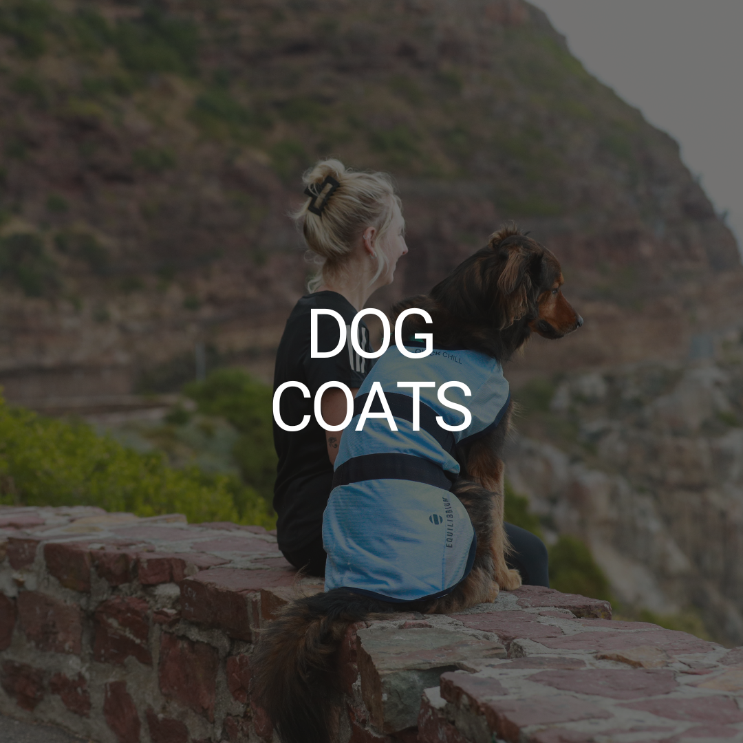 Dog Coats