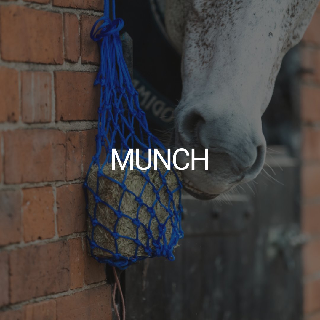 Munch