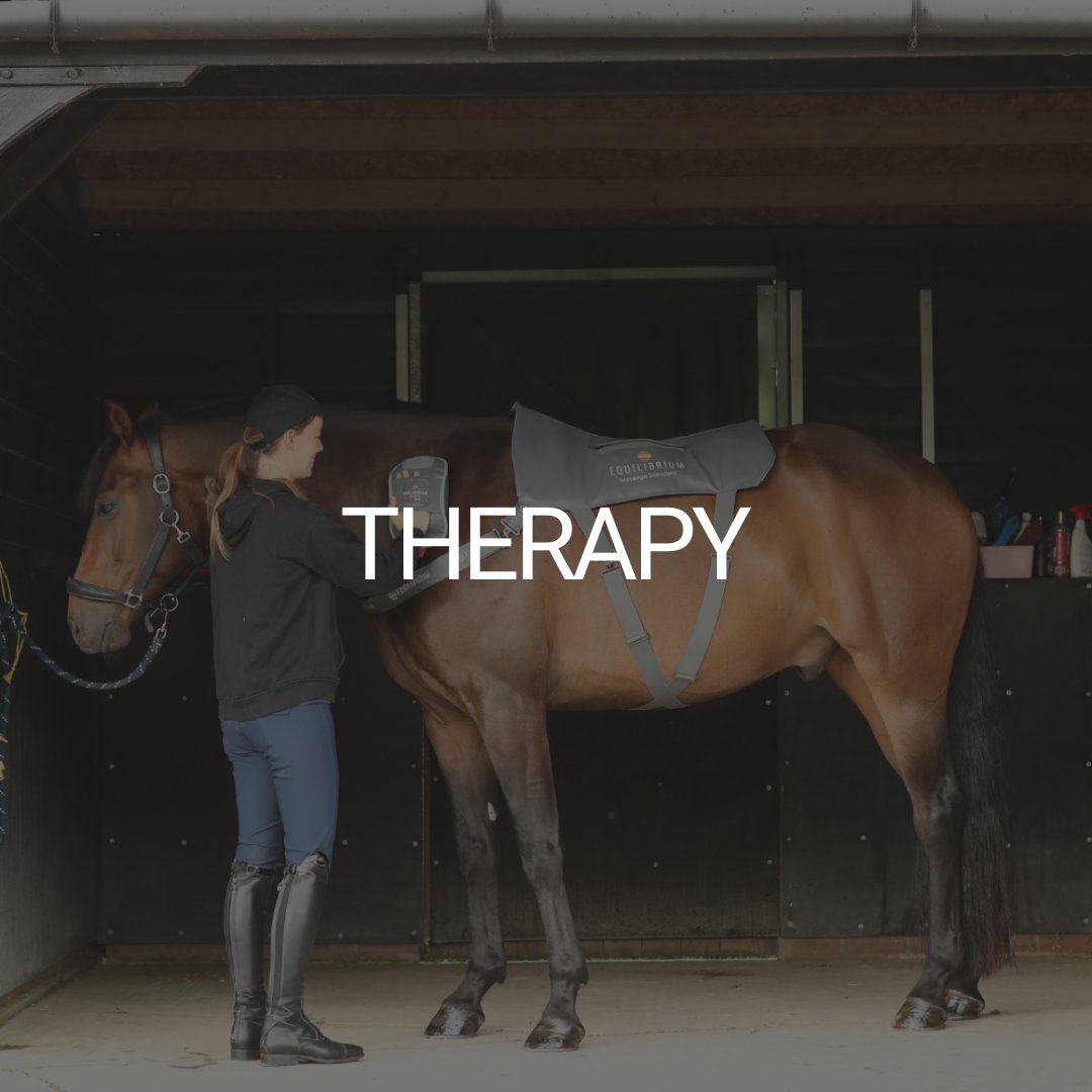 Therapy