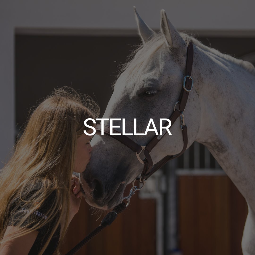 Stellar