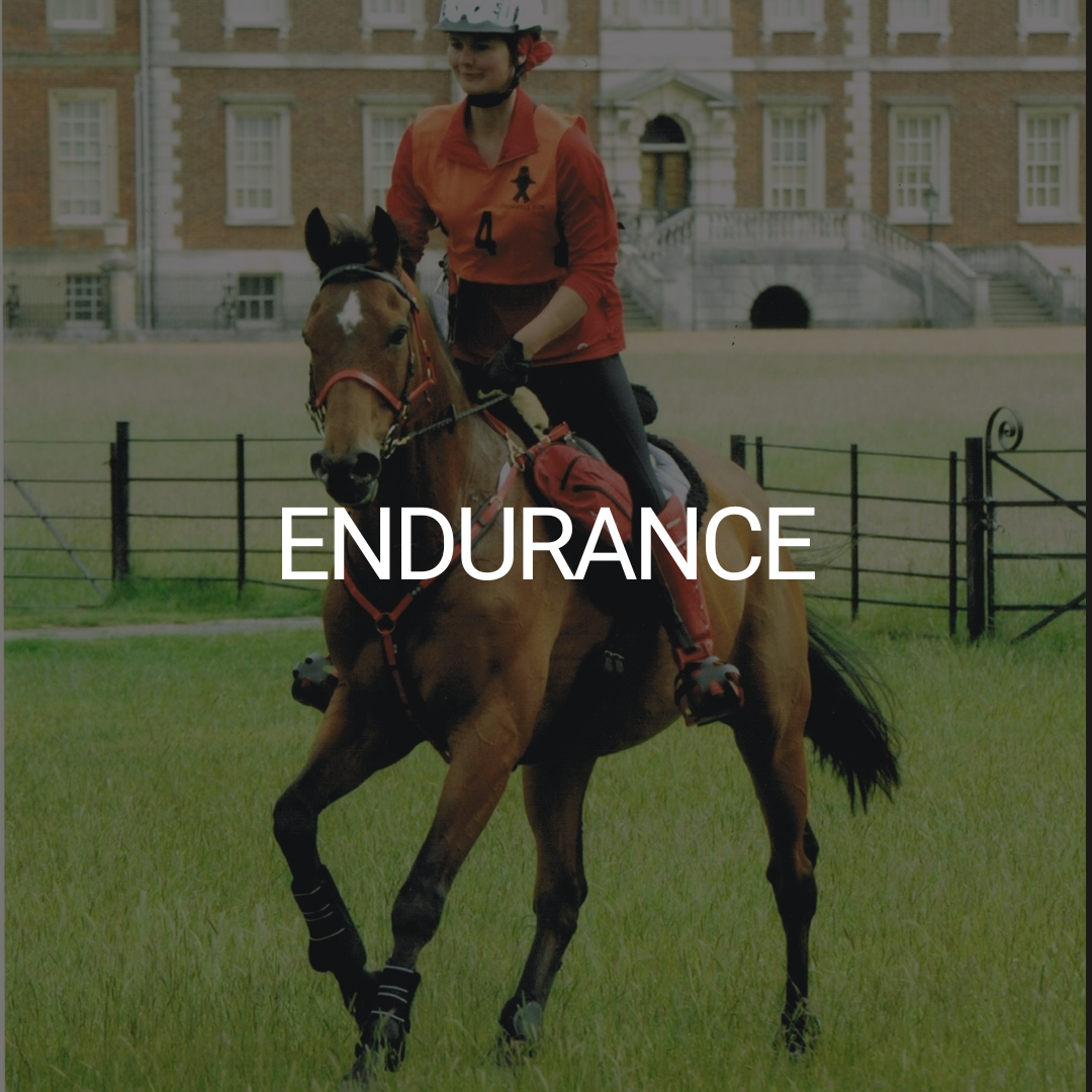 Endurance