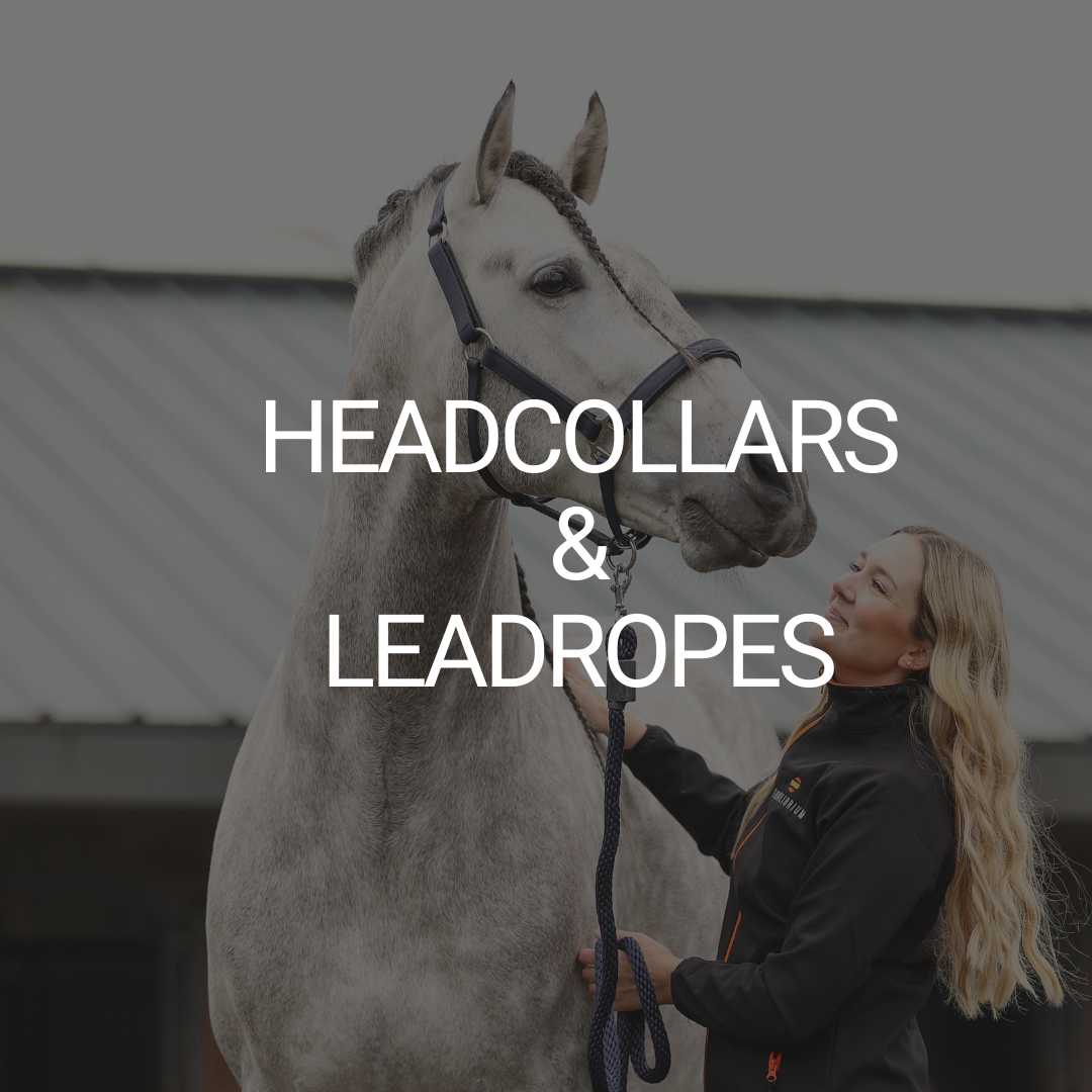 Headcollars & Leadropes