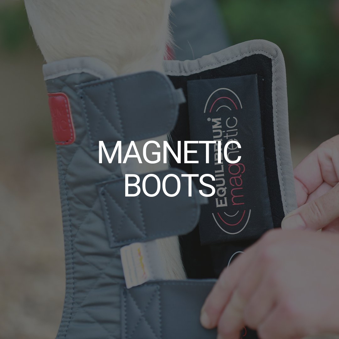 Magnetic Boots