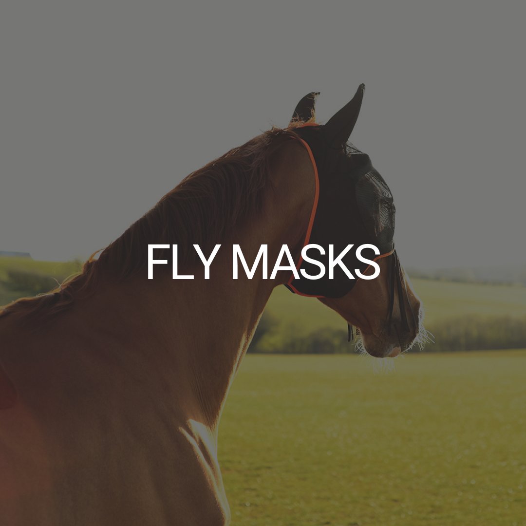 Fly Masks