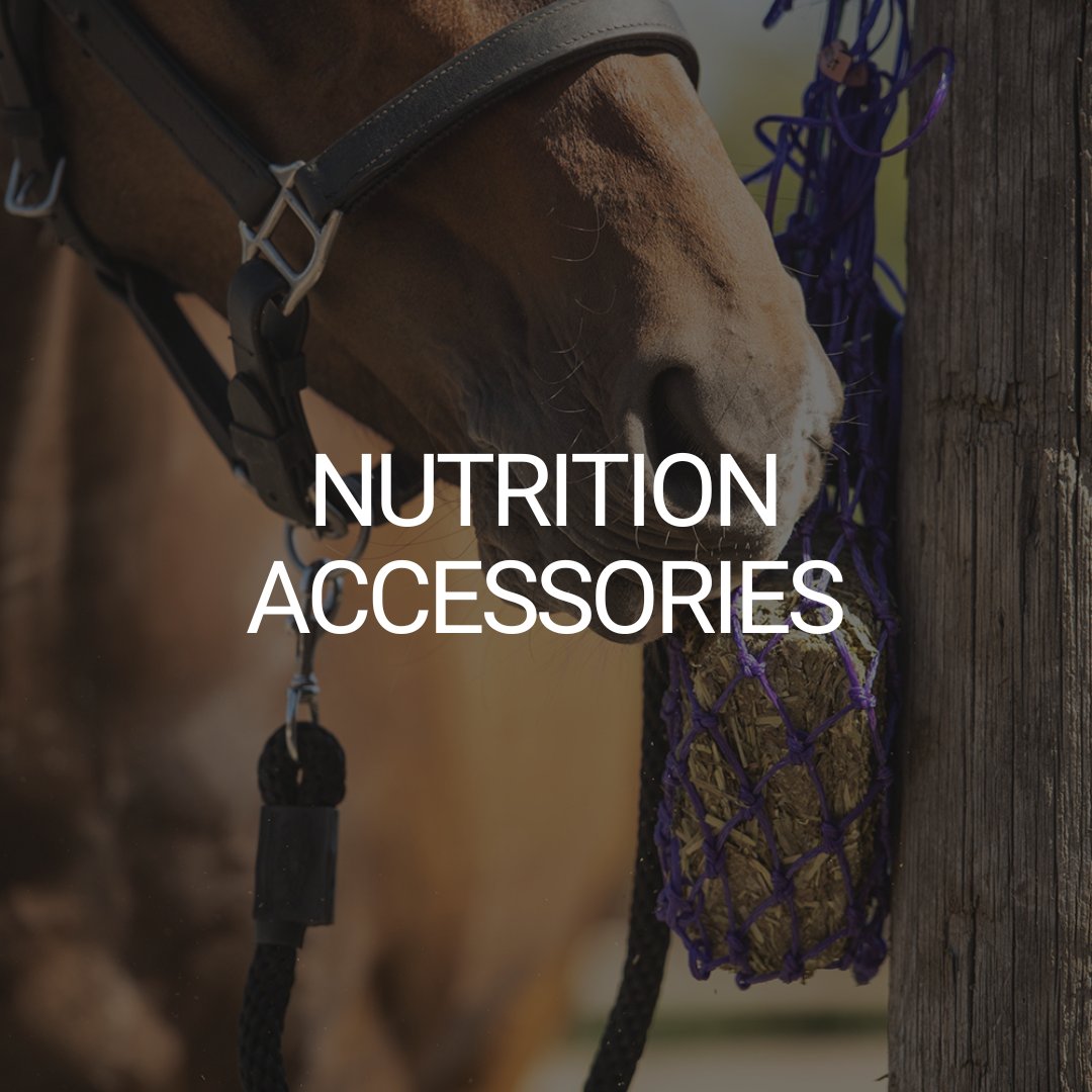 Nutrition Accessories