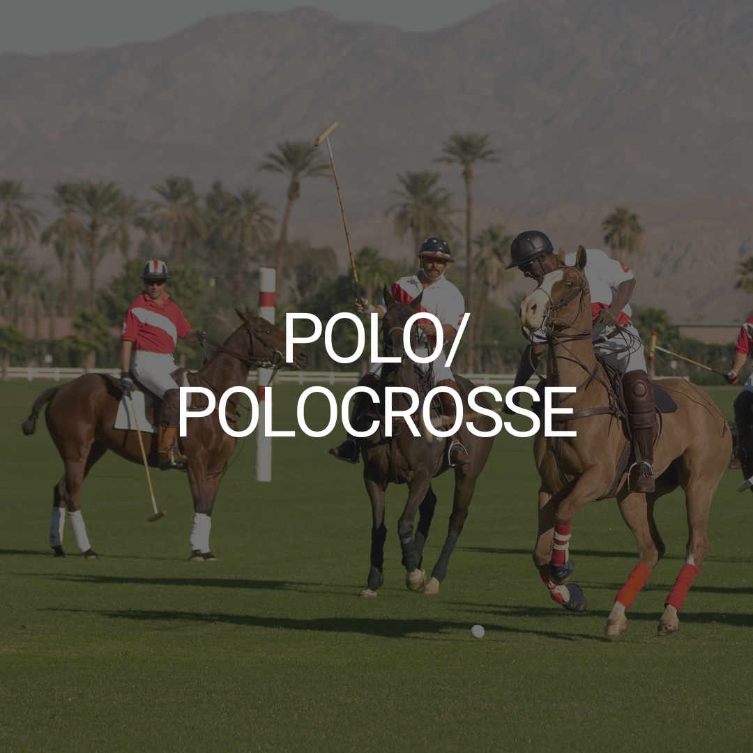 Polo/Polocrosse