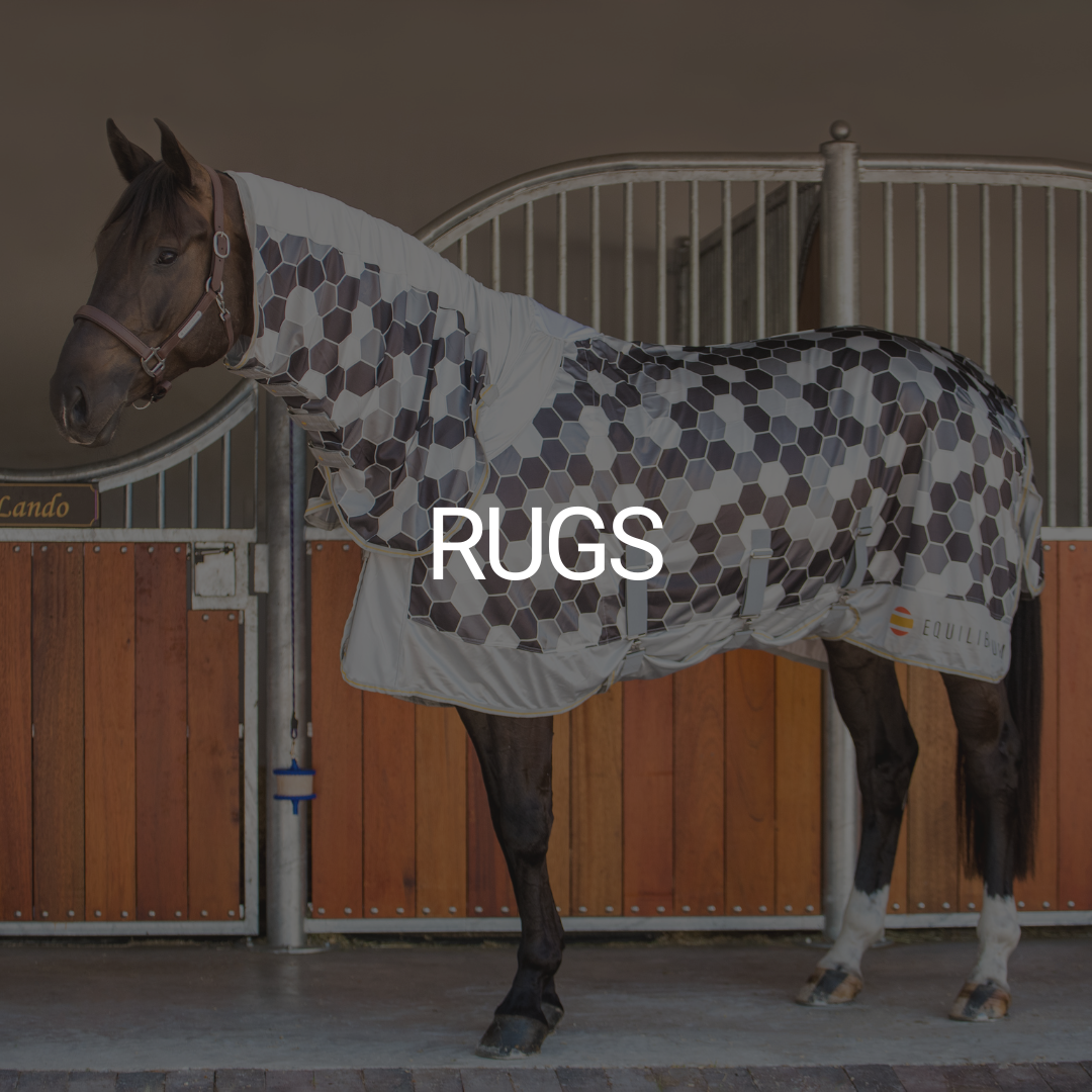 Rugs – Equilibrium